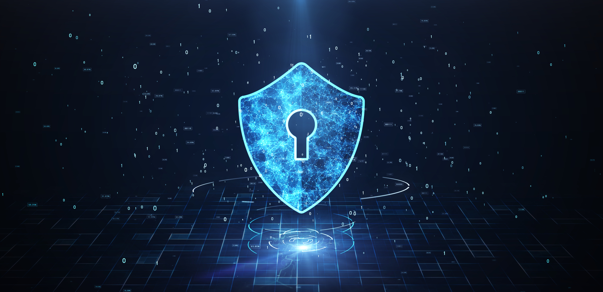 Privacy Shield update dotdigital blog