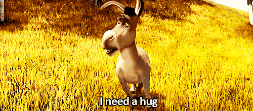 Donkey Day