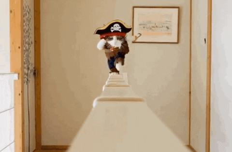 Talk like a pirate