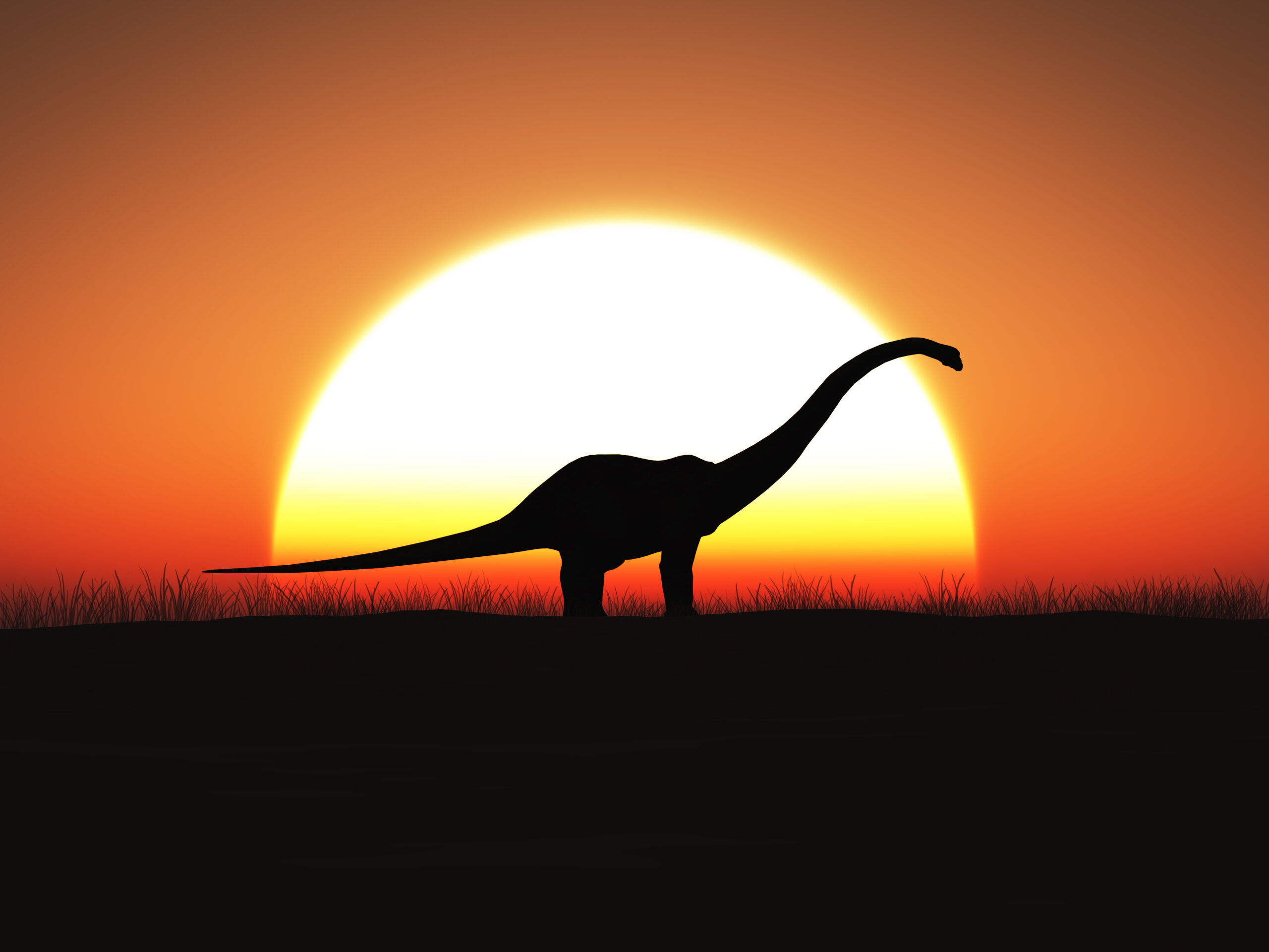 New dawn for retailers as Bronto fades into the sunset Featured Image
