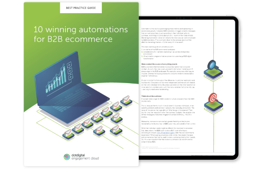 Dotdigital | B2B automations best practice guide