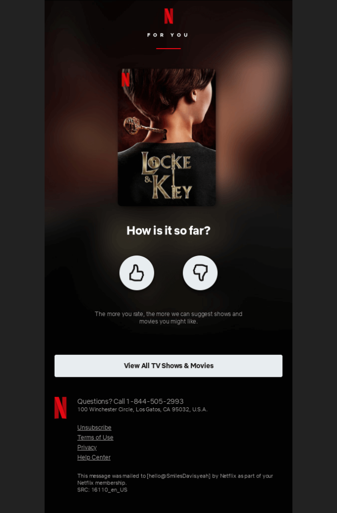 Example of how Netflix learn about their customers through data