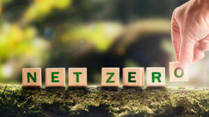 net zero spelled out on scrabble tiles in front of lgreen eaves