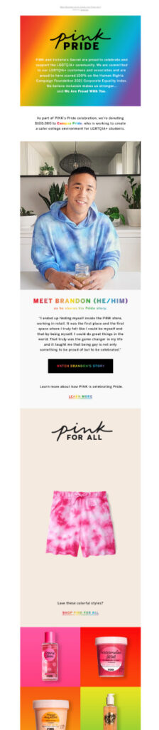 PINK-VS Pride email marketing campaign