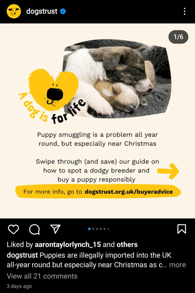 Image of social media post from Dogs Trust charity 