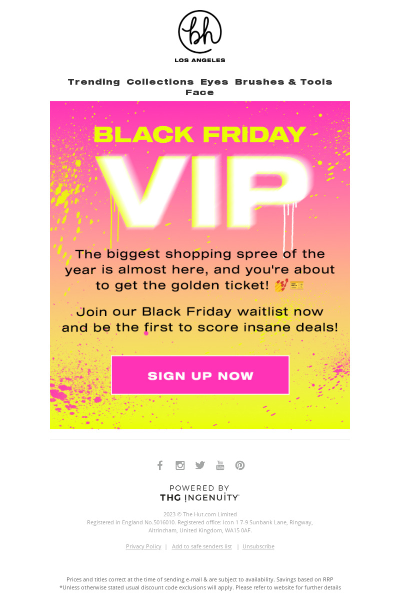 BH Cosmetics' exclusive Black Friday email campaign for VIP members.